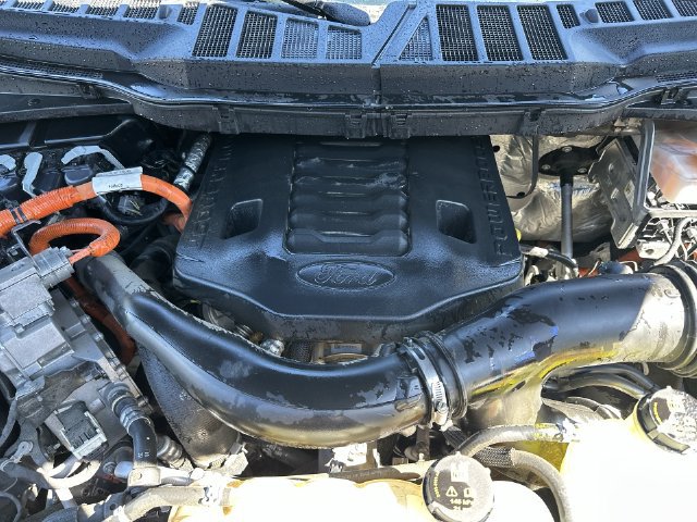 Certified 2021 Ford F150 XLT w/ Equipment Group 302A High AWD/4WD image 28