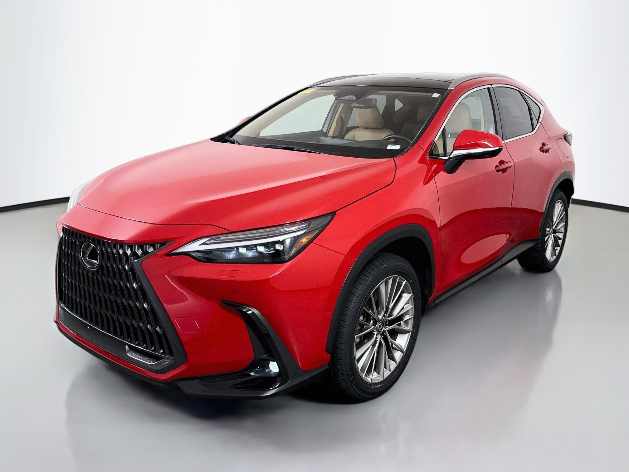 Used 2025 Lexus NX 350h AWD w/ Cold Area Package image 3