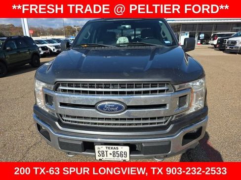 Used 2019 Ford F150 XLT w/ Equipment Group 302A Luxury image 2