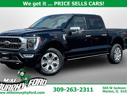 Used 2023 Ford F150 Platinum w/ Equipment Group 701A High