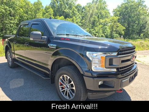 Used 2020 Ford F150 XLT w/ Equipment Group 302A Luxury AWD/4WD image 10