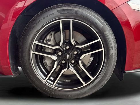 Used 2018 Ford Mustang GT Premium w/ Equipment Group 401A RWD image 32