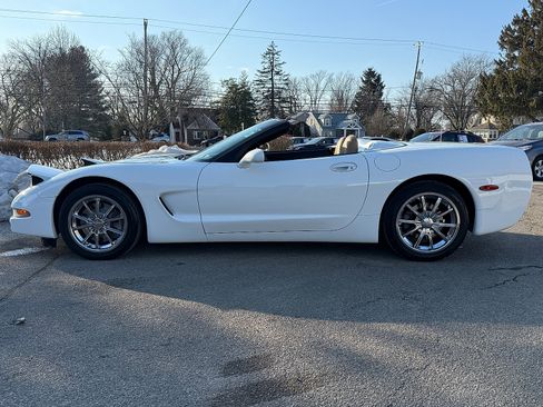 Used 2004 Chevrolet Corvette Convertible w/ Preferred Equipment Group image 8