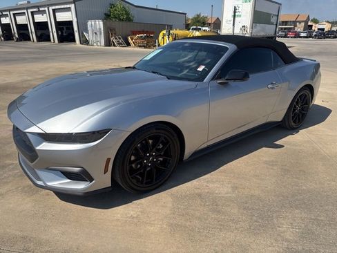 Used 2024 Ford Mustang Convertible w/ Mustang Nite Pony Package image 9