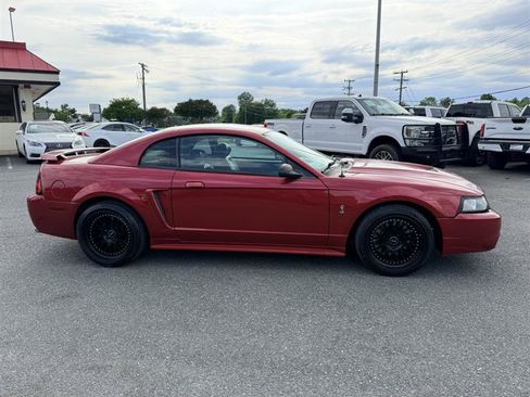 Used 2001 Ford Mustang Cobra RWD image 4