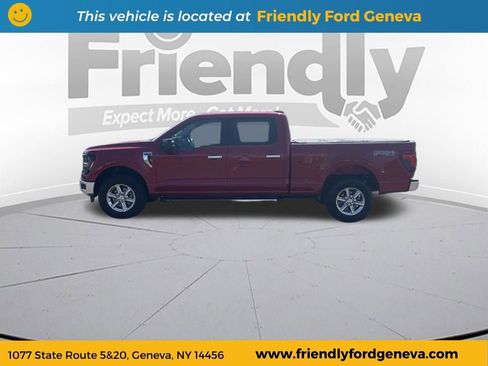 Used 2025 Ford F150 XLT w/ Equipment Group 301A Standard AWD/4WD image 8