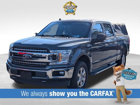 Used 2019 Ford F150 XLT w/ Equipment Group 302A Luxury image 1