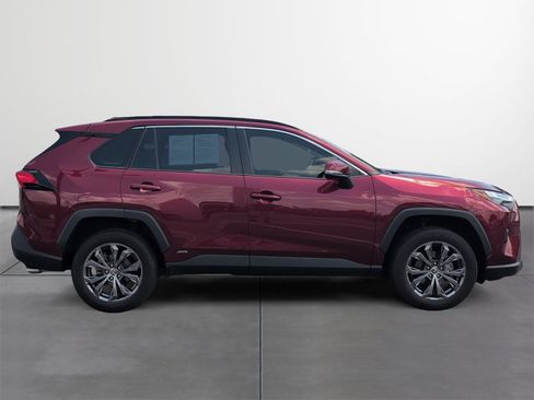 Certified 2025 Toyota RAV4 XLE Premium AWD/4WD image 6