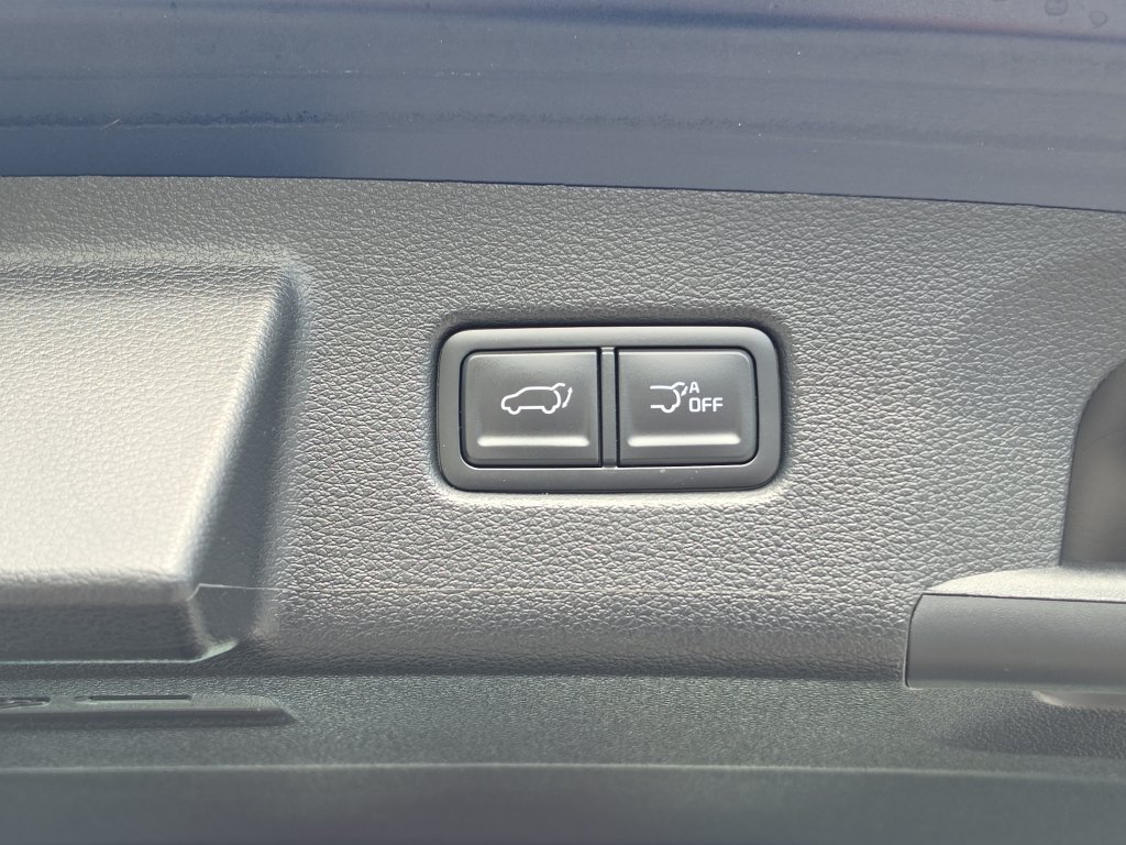 Used 2024 Kia Telluride SX w/ Towing Package FWD image 10