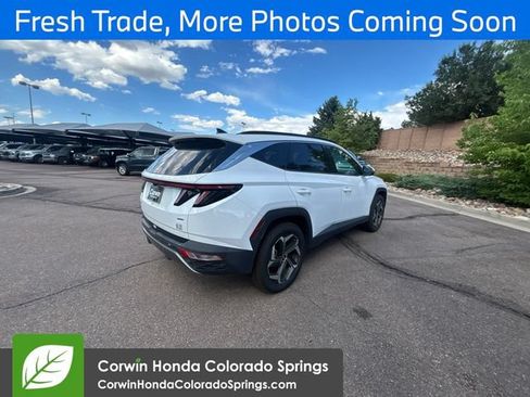 Used 2024 Hyundai Tucson Limited AWD/4WD image 7