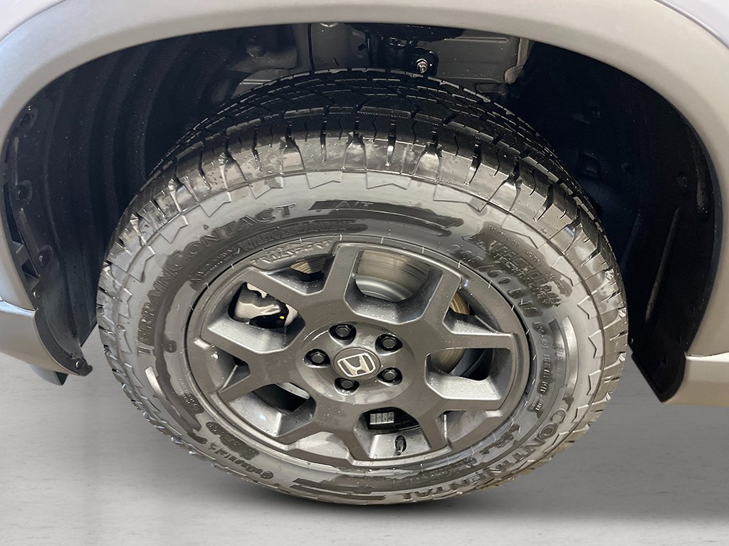 New 2026 Honda Pilot TrailSport image 11