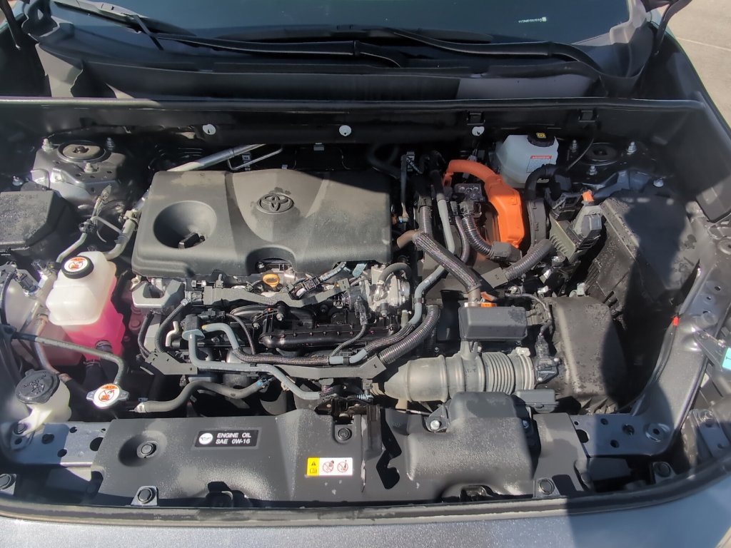 Used 2025 Toyota RAV4 XLE AWD/4WD image 29