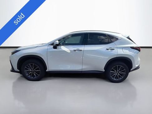 Certified 2025 Lexus NX 350h AWD w/ Cold Area Package image 4