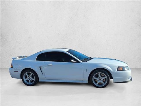 Used 2001 Ford Mustang Cobra RWD image 5