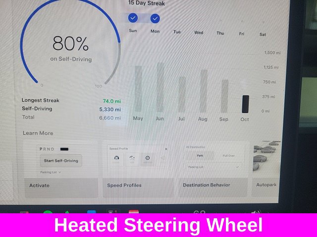 Used 2021 Tesla Model 3 Performance AWD/4WD image 4