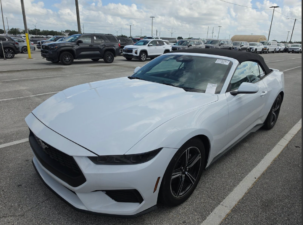 Used 2025 Ford Mustang Premium RWD image 4