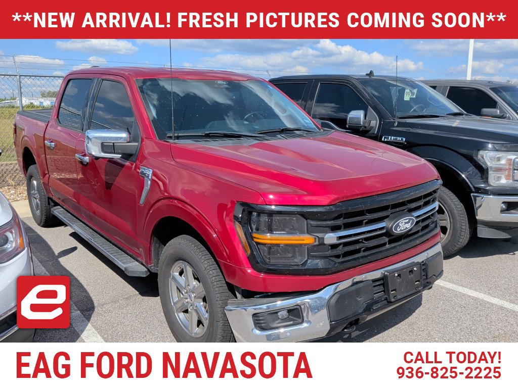 Used 2024 Ford F150 XLT w/ Equipment Group 302A MID AWD/4WD image 1