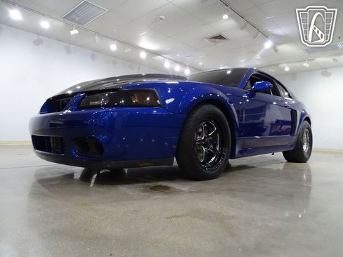 Used 2003 Ford Mustang Cobra image 5