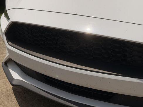 Used 2019 Ford Mustang Coupe w/ Equipment Group 101A RWD image 13