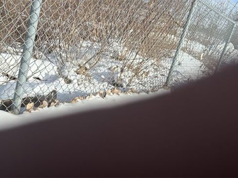 Certified 2022 Ford Expedition Max Limited image 29