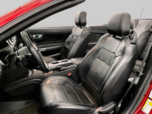 Used 2019 Ford Mustang Premium w/ Equipment Group 201A RWD image 24