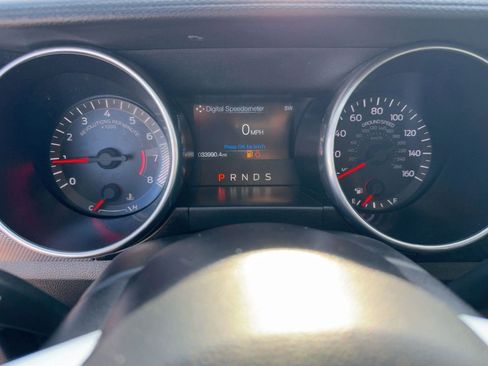 Used 2019 Ford Mustang EcoBoost w/ Equipment Group 101A image 15