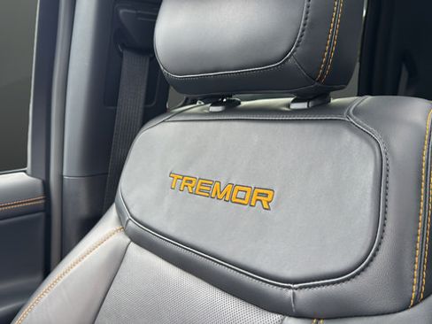 Used 2025 Ford Expedition Tremor AWD/4WD image 38