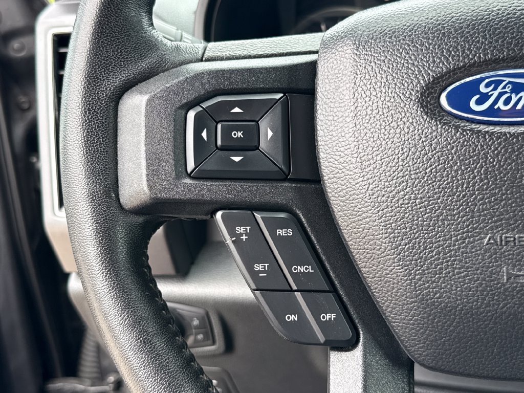 Used 2019 Ford F150 XLT w/ Equipment Group 302A Luxury AWD/4WD image 15