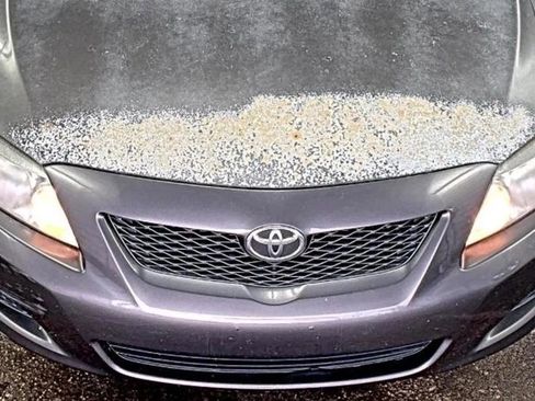 Used 2010 Toyota Corolla LE image 4