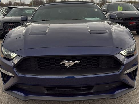 Used 2019 Ford Mustang Premium RWD image 3