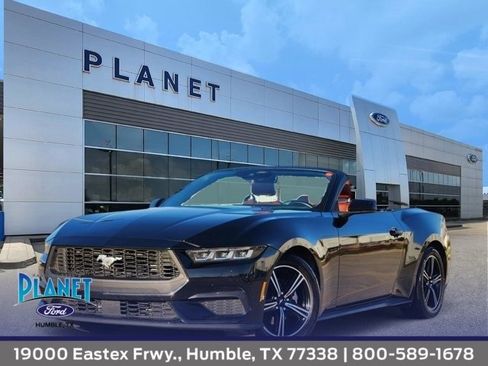 Certified 2025 Ford Mustang Premium image 1