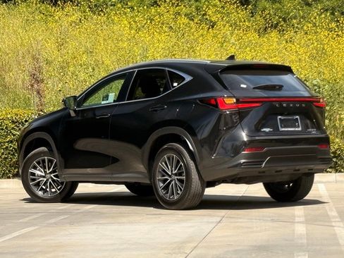 Certified 2024 Lexus NX 350 AWD w/ Cold Area Package image 3