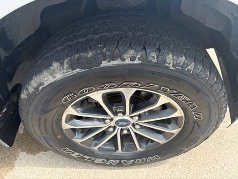 Used 2019 Ford F150 XLT w/ Equipment Group 302A Luxury AWD/4WD image 20