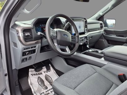 New 2024 Ford F150 XLT w/ Equipment Group 303A High