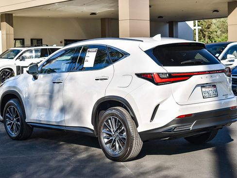 Used 2025 Lexus NX 350 AWD w/ Cold Area Package image 4