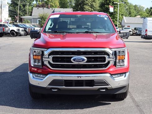 Used 2021 Ford F150 XLT w/ Equipment Group 302A High AWD/4WD image 15