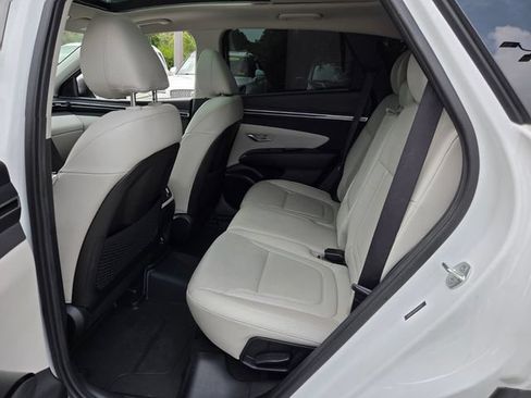 Used 2022 Hyundai Tucson Limited AWD/4WD image 13