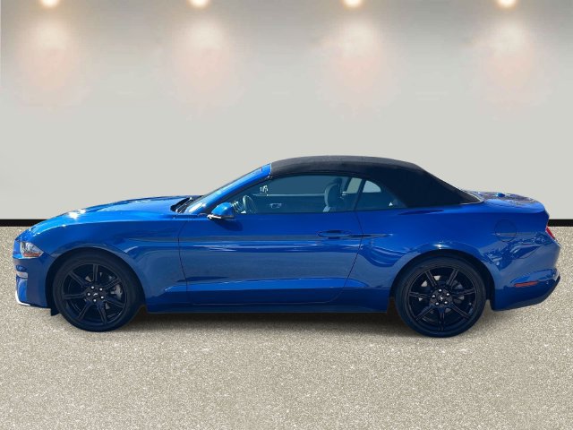 Certified 2018 Ford Mustang Premium w/ Black Accent Package RWD image 8