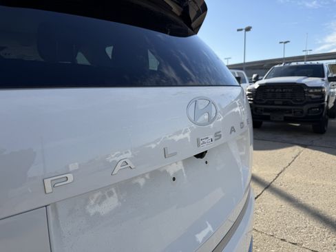 New 2026 Hyundai Palisade Calligraphy image 8