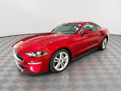 Used 2021 Ford Mustang Premium w/ Equipment Group 201A