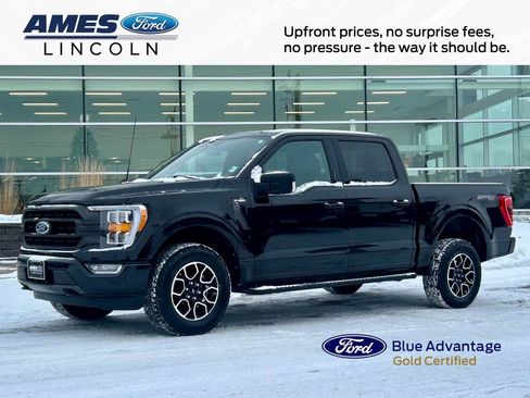 Certified 2023 Ford F150 XLT w/ Equipment Group 302A High image 1