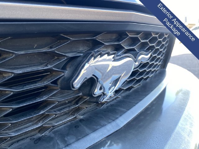 Used 2011 Ford Mustang Coupe w/ 101A Rapid Spec Order Code RWD image 7