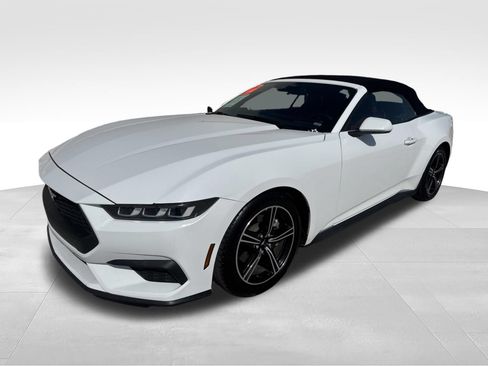 Used 2024 Ford Mustang Premium RWD image 1