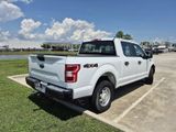 Used 2019 Ford F150 XL w/ Equipment Group 101A Mid image 4