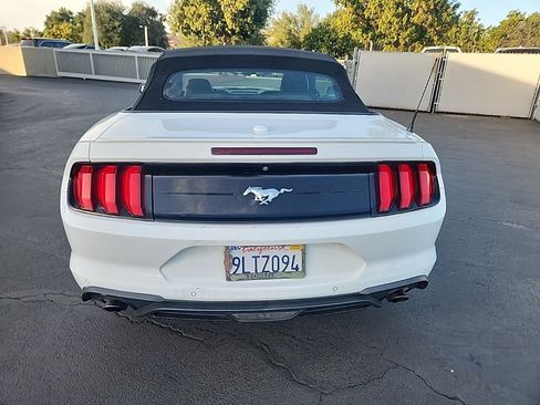 Used 2019 Ford Mustang Premium image 4