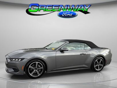 Certified 2024 Ford Mustang Premium