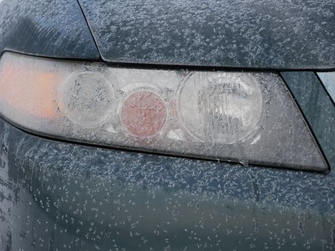 Used 2007 Acura TSX Navi image 9