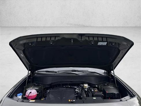 New 2026 Hyundai Palisade Calligraphy image 19