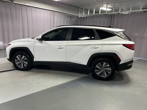 Used 2022 Hyundai Tucson Blue AWD/4WD image 4