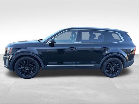 Used 2021 Kia Telluride SX w/ SX Prestige Package image 2